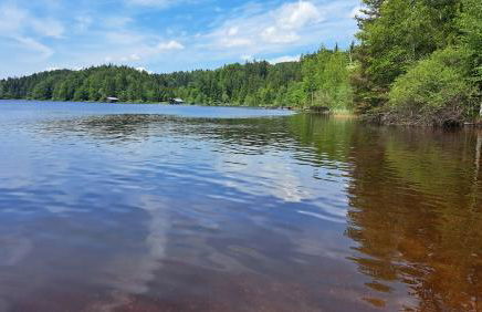 Ferienwohnung im Gartenparadies - Foto 36