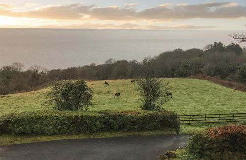 Woodlea Cottage 1 - Photo 14