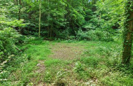 Pole Barn - Rustic 1BR Family Retreat with Open Views - Foto 61