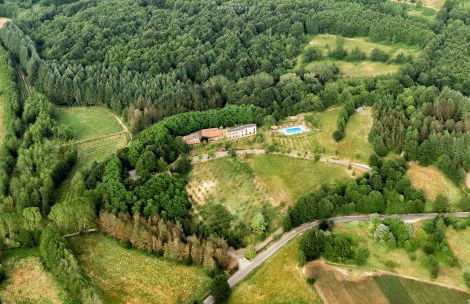 La Rosa Nel Bicchiere - Foto 24