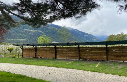 Residence Sonja - Foto 17