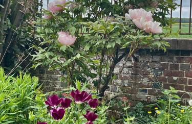 Cottage 4 chambres avec cheminée - Foto 41