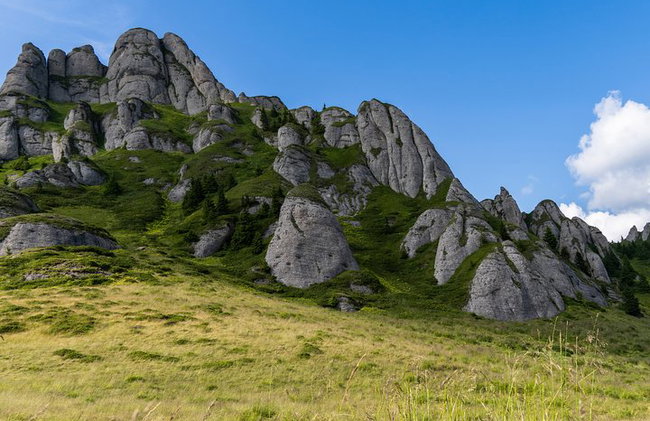 PRIVATE, EASY Day Hike in Carpathian Mountains - Photo 6