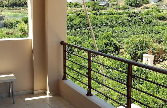 Helianthus - Foto 24