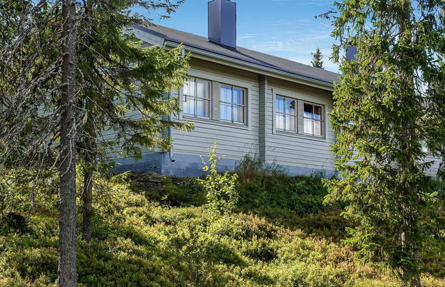 Lupposyöte b1 - Photo 5