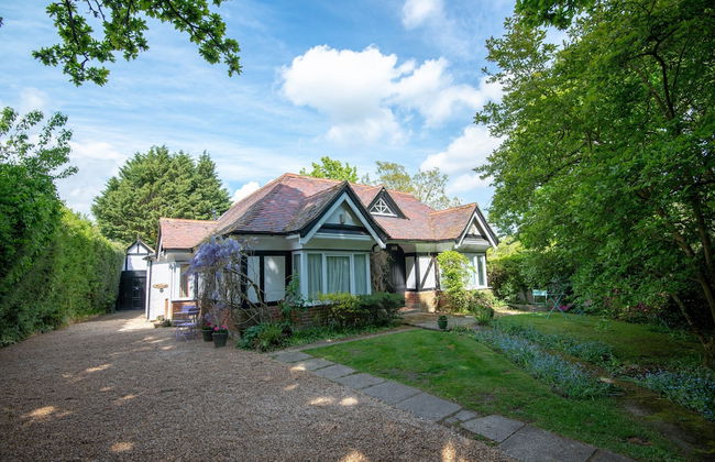 Pinewood Cottage Deluxe Self Catering Apartments - Foto 1