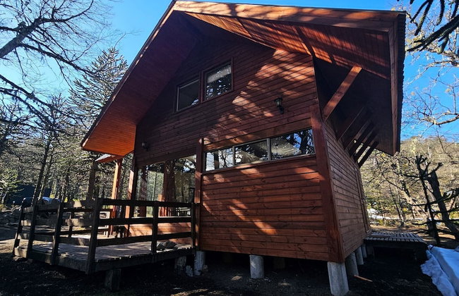 Oceana Suites Corralco - Photo 49