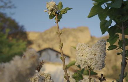 Cortijo el Chorreadero en Parque Natural Sierra de Cazorla - Foto 12