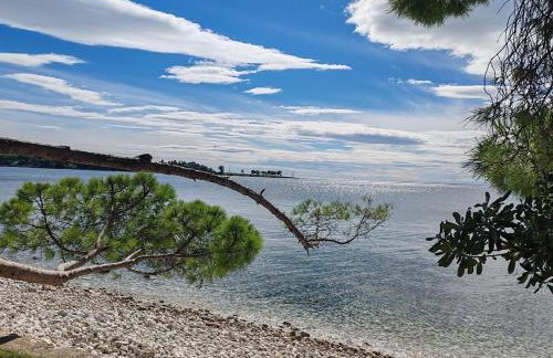Apartments Oleander Lovrečica-residence with pool - Photo 80
