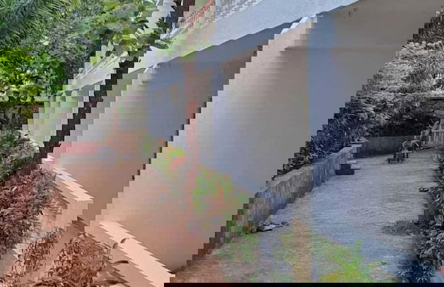 Apricot Inn - Foto 11