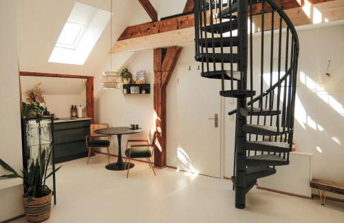 Urban Loft - Appartment in ehemaliger Fabrik zentral in Landau - Foto 1