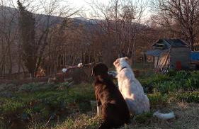 Agriturismo Becerca Vegan - Foto 5