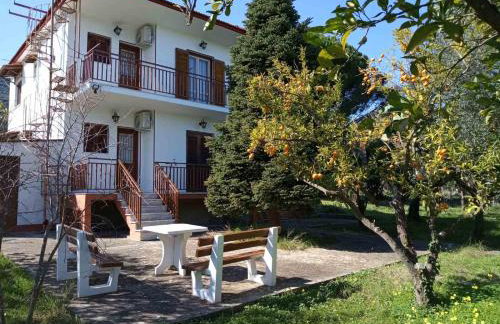 Manousi 1- Ground floor - Foto 8