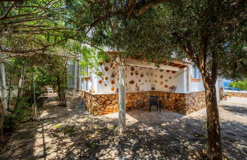 Ca'n Miquel - Foto 33