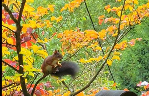 Ferienwohnungen Dorfliebe Dörnberg - Foto 37
