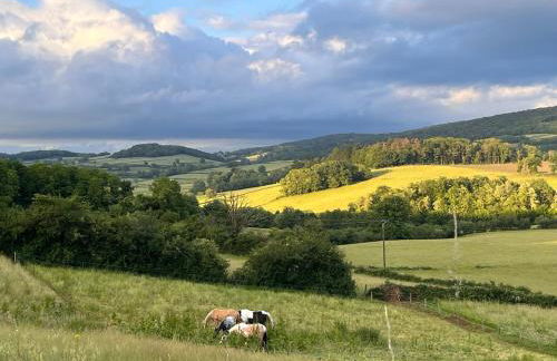 The Place to Be - Foto 12