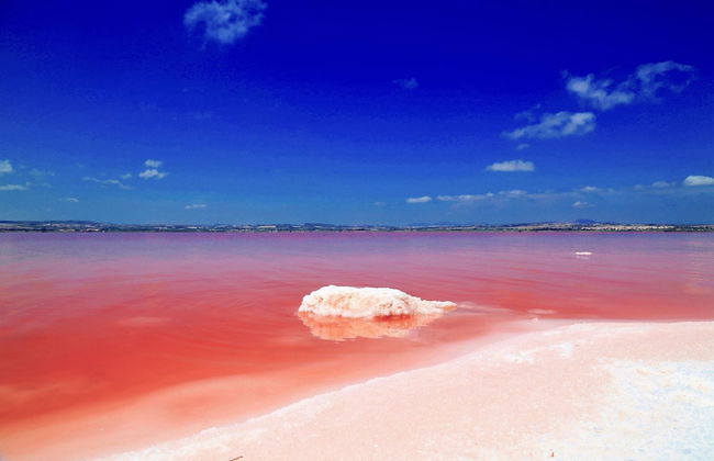 Torrevieja Rent 007 - Foto 38