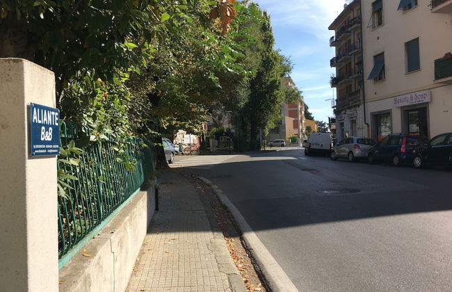 ALIANTE TURIST HOUSE - Foto 56