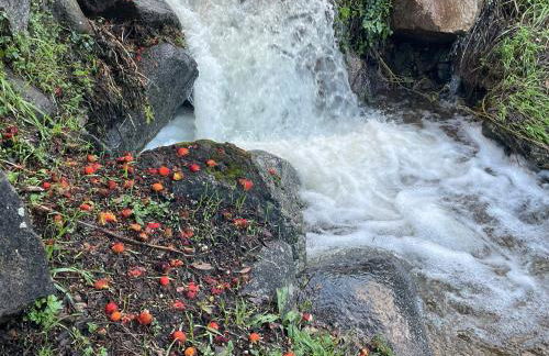 Casa Artista - Foto 79