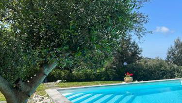 Villa Grazia - Foto 2, Garden