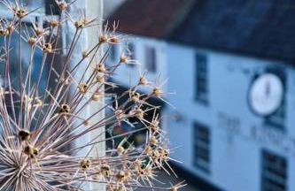 Sarah's - A townhouse apartment in Georgian Holt - Photo 22