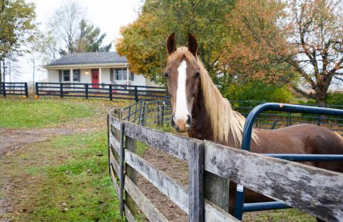 Peaceful Bluegrass Getaway on 10-Acre Farm! - Foto 28
