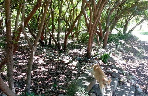 Sa Stella E Monti - Foto 28