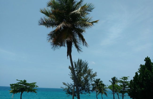 La Cruz de Colon Guest House - Photo 27