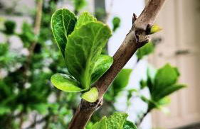 La Casa di Rena - Foto 34