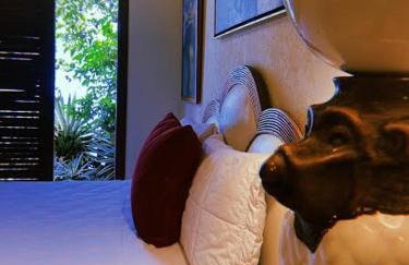 Magnífica Costeira - Foto 20