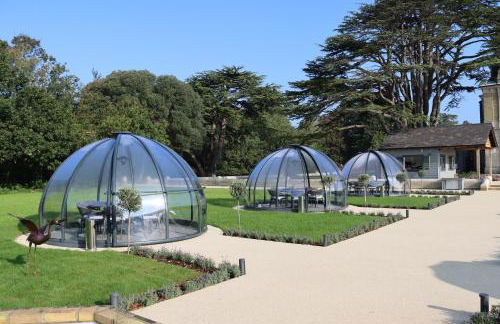 Orange Grove Hotel & Gardens - Foto 16