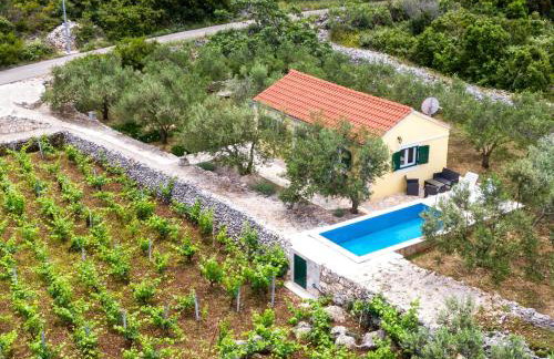 Vineyard House & Olive Grove House - Photo 37