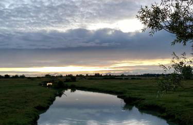 La Maison des Marais de Sallertaine - Foto 44