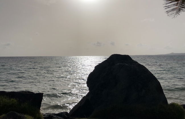 Ocean View Gorgeous 1 Bedroom Apt - Photo 51