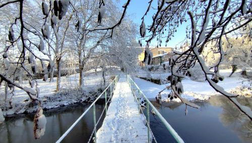 Le Moulin Neuf - Photo 4