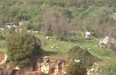 HEAVEN HOUSE - Photo 13