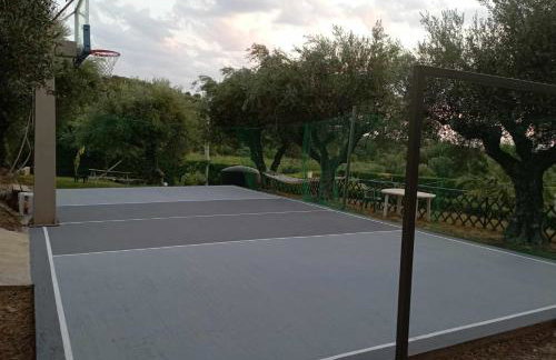 Alex House - Foto 64