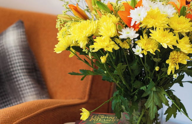 Artemis Cynthia Complex - Foto 77