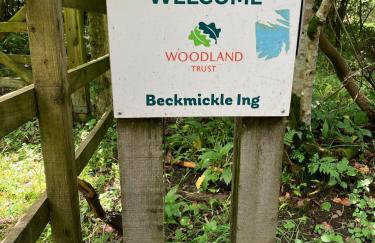 Ashdene Cottage with secure 'sun trap' garden - Foto 25