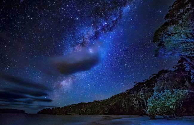 Bay and Bush, Jervis Bay - Photo 47