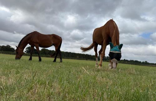 Boutique Countryside Studio with Farm Animals - Foto 10