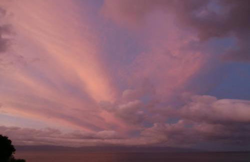 Adega Baia do Canto AL 1398 - Photo 17