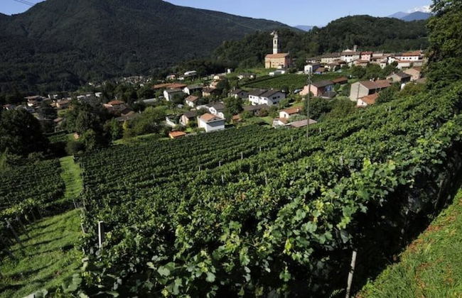 Casa Hürlimann Erholung Im Malcantone - Photo 47