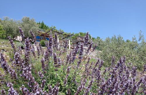 Casa Delle Olive - Foto 3