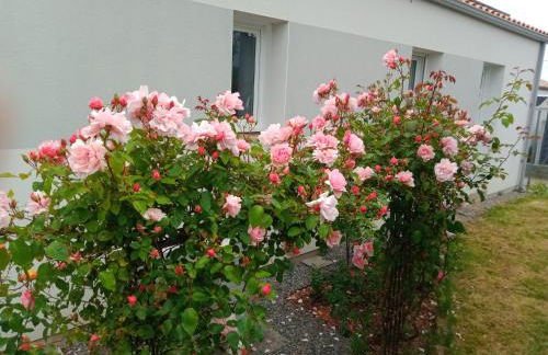 perle rare à énergie positive - Photo 15