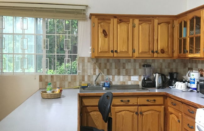 Rose View Apartment Montego Bay - Foto 4