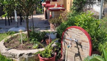 Sweet Home - Foto 2, Garden