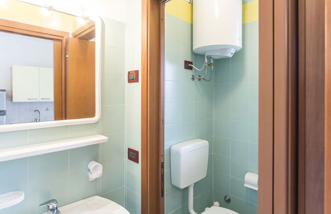 Calycanthus - Foto 36