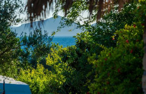 Sun and Sky - Foto 44