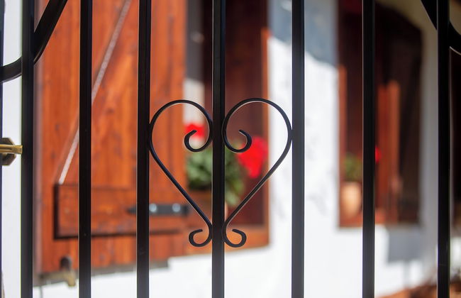 The Bird of Happiness-heaven for Dogs - Foto 36